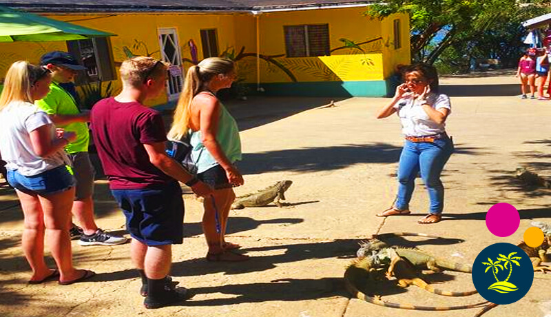 About A Day In Roatan Tours